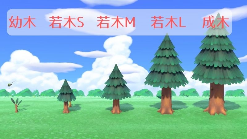 島クリエイター 木の成長の止め方 あつ森 いかたこクエスト