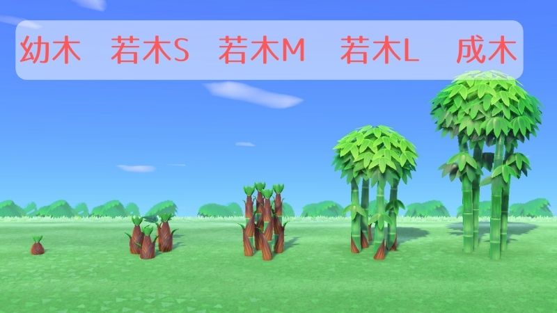 島クリエイター 木の成長の止め方 あつ森 いかたこクエスト