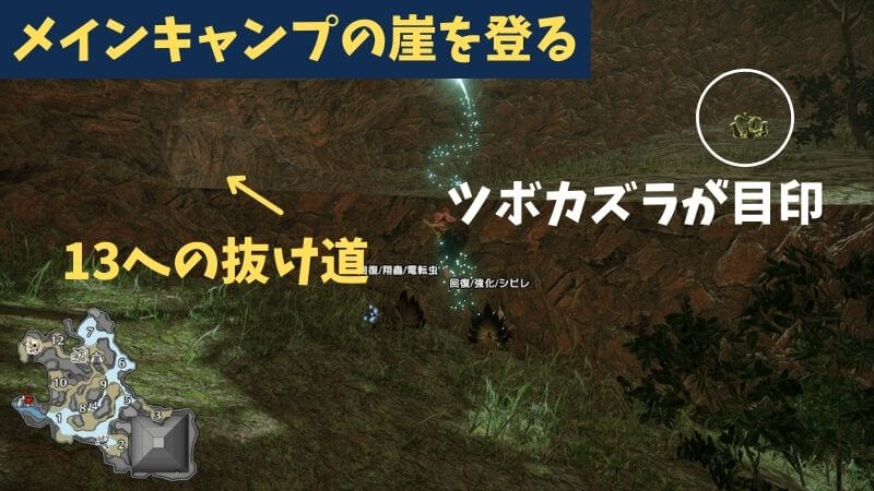 モンハンライズ イシモリトカゲの場所